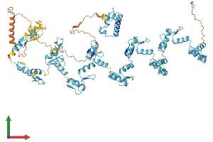 AlphaFold protein structure predicition of Human Recombinant ZNF43 Protein, UniprotID P17038