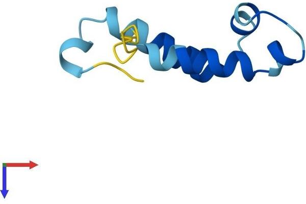 COA5 Protein (AA 1-74) (Fc Tag)