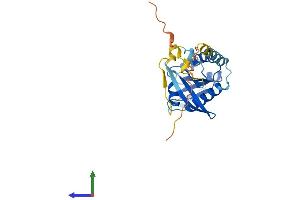 Protein Structure (PS) image for RAB, Member of RAS Oncogene Family-Like 2A (RABL2A) (AA 1-228) protein (His tag) (ABIN7551164)