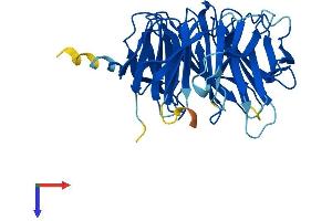 GNB1L Protein (AA 1-327) (His tag)