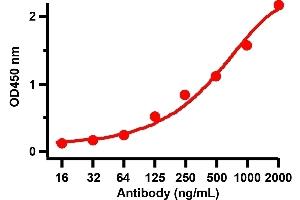 ELISA Validation with SARS-CoV-2 (COVID-19) Spike Recombinant ProteinAntibodies: SARS-CoV-2 (COVID-19) Spike antibody, ABIN6952968 (1 μg/mL). (SARS-CoV-2 Spike Antikörper  (RBD))