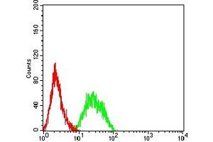 Flow cytometric analysis of HL-60 cells using LRP6 mouse mAb (green) and negative control (red). (LRP6 Antikörper  (AA 1198-1370))
