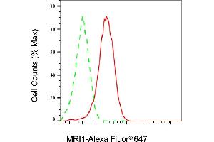 Flow cytometric analysis of MRI1 expression in HAP-1 cells using MRI1 antibody (ABIN7799398), 1:2,000).