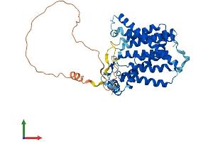 Protein Structure (PS) image for Sphingosine-1-Phosphate Phosphatase 1 (SGPP1) (AA 1-441) protein (His tag) (ABIN7546081)