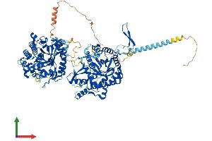 Protein Structure (PS) image for Klotho beta (KLB) (AA 1-1043) protein (His tag) (ABIN7564912)