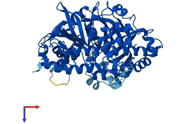 C22orf28 Protein (AA 1-505) (His tag)