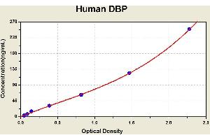 Vitamin D-Binding Protein (GC) ELISA Kit