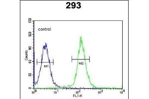 CDC45L Antibody (Center) (ABIN653837 and ABIN2843101) flow cytometric analysis of 293 cells (right histogram) compared to a negative control cell (left histogram). (CDC45 Antikörper  (AA 236-263))