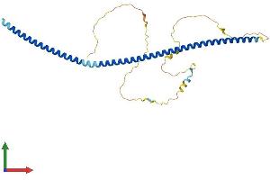 AlphaFold protein structure predicition of Mouse Recombinant Ccdc92 Protein, UniprotID Q8VDN4 (CCDC92 Protein (AA 1-314) (His tag))
