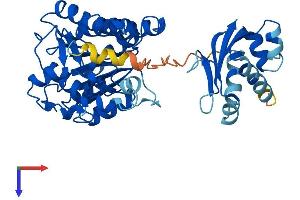HSDL2 Protein (AA 1-418) (His tag)