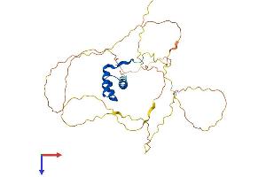 HOXD10 Protein (AA 1-340) (His tag)