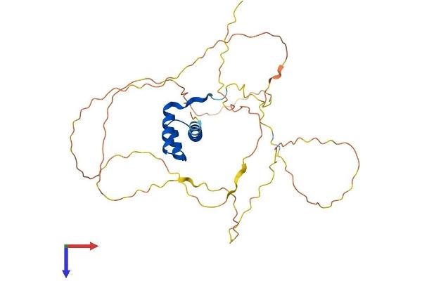HOXD10 Protein (AA 1-340) (His tag)