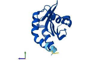 Protein Structure (PS) image for Mitogen-Activated Protein Kinase Kinase 1 Interacting Protein 1 (MAPKSP1) (AA 1-124) protein (His tag) (ABIN7549167)