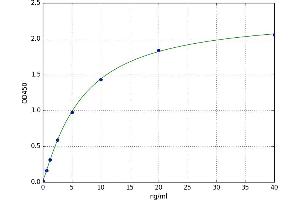 Poly (ADP-Ribose) Polymerase 1 (PARP1) ELISA Kit