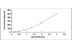 Typical standard curve (IL-1 beta ELISA Kit)