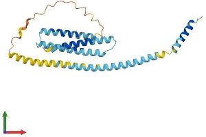 Protein Structure (PS) image for Syntaxin 8 (STX8) (AA 1-236) protein (His tag) (ABIN7562698)