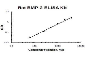 Rat BMP-2 Accusignal ELISA Kit Rat BMP-2 AccuSignal ELISA Kit standard curve.