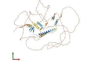 Protein Structure (PS) image for Holliday Junction Recognition Protein (HJURP) (AA 1-667) protein (His tag) (ABIN7564127)