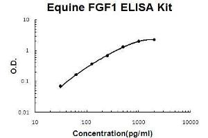 Horse equine FGF1 PicoKine ELISA Kit standard curve (FGF1 ELISA Kit)