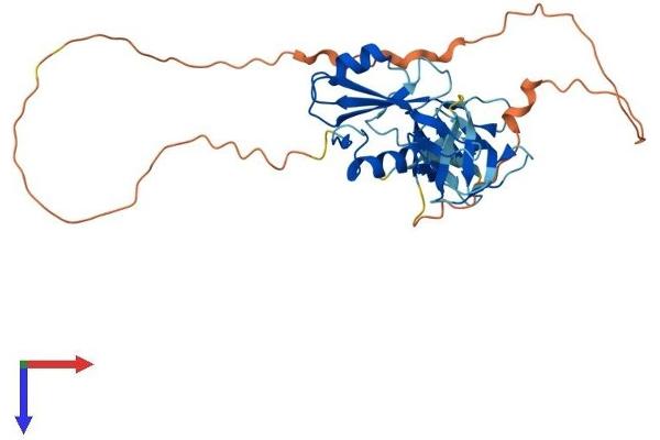 GRAP2 Protein (AA 1-322) (His tag)