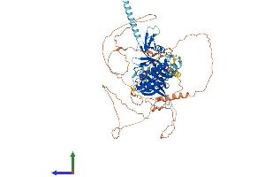 Protein Structure (PS) image for Erythrocyte Membrane Protein Band 4.1 Like 5 (EPB41L5) (AA 1-733) protein (His tag) (ABIN7547315)