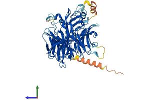 AlphaFold protein structure predicition of Human Recombinant BCO1 Protein, UniprotID Q9HAY6