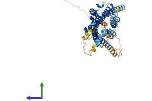 Protein Structure (PS) image for Somatostatin Receptor 1 (SSTR1) (AA 1-391) protein (His tag) (ABIN7563097)