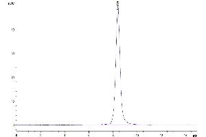 Size-exclusion chromatography-High Pressure Liquid Chromatography (SEC-HPLC) image for Interleukin 18 Receptor 1 (IL18R1) (AA 20-326) protein (His tag) (ABIN7274982)