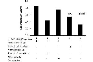 Transcription factor activity assay of mouse Nrf2 from nuclear extracts of 3T3-L1 cells or 3T3-L1 cells treated with tBHQ (90uM) for 24 hr with the specific competitor or non-specific competitor.