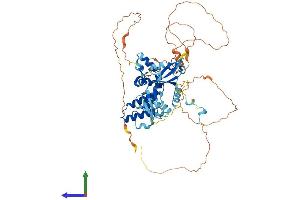 Protein Structure (PS) image for Regulator of G-Protein Signaling 14 (RGS14) (AA 1-566) protein (His tag) (ABIN7555212)