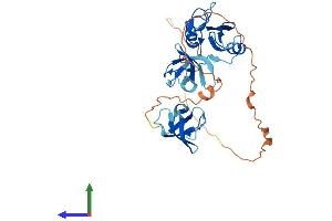 Protein Structure (PS) image for GRB2-Related Adaptor Protein 2 (GRAP2) (AA 1-330) protein (His tag) (ABIN7548069)