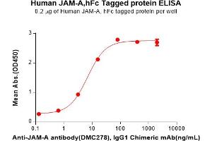 ELISA image for F11 Receptor (F11R) (AA 28-238) protein (Fc Tag) (ABIN7092719)