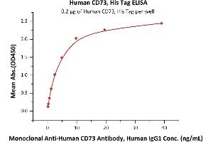 Immobilized Human CD73, His Tag (Hied) (ABIN6731289,ABIN6809998,ABIN6809999) at 2 μg/mL (100 μL/well) can bind Monoclonal A CD73 Antibody, Human IgG1 with a linear range of 0. (CD73 Protein (AA 27-549) (His tag))