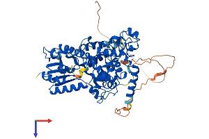 CRY1 Protein (AA 1-586) (His tag)