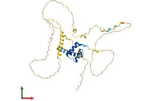Protein Structure (PS) image for Homeobox D11 (HOXD11) (AA 1-338) protein (His tag) (ABIN7548456)