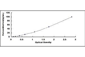 Typical standard curve (PKC epsilon ELISA Kit)