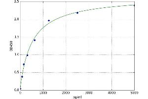 Sclerostin Domain Containing 1 (SOSTDC1) ELISA Kit