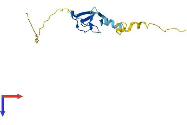 LIMD2 Protein (AA 1-127) (His tag)