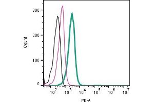 Cell surface detection of ASCT2 by direct flow cytometry in live intact human Jurkat T-cell leukemia cells: + Rabbit IgG Isotype Control-PE (ABIN7582046).
