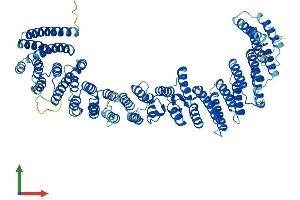 Protein Structure (PS) image for Vacuolar Protein Sorting 35 (VPS35) (AA 1-796) protein (His tag) (ABIN7556014)