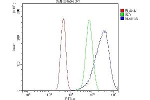 Flow Cytometry analysis of A431 cells using anti-NDUFB5 antibody (ABIN7601297).