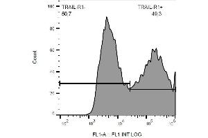 Surface staining of CD261-transfected HEK-293 cells with anti-CD261/TRAIL-R1 FITC.
