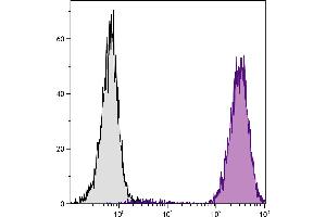 Human peripheral blood granulocytes were stained with Mouse Anti-Human CD15-PE. (CD15 Antikörper)