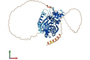 Protein Structure (PS) image for RNA Guanine-7 Methyltransferase (RNMT) (AA 1-476) protein (His tag) (ABIN7549324)