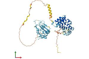 Protein Structure (PS) image for Eukaryotic Translation Initiation Factor 5 (EIF5) (AA 1-431) protein (His tag) (ABIN7548425)