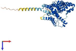 ALG3 Protein (AA 1-438) (His tag)