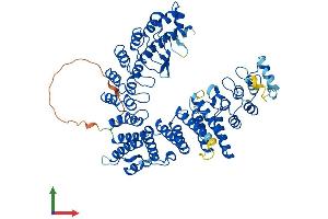 Protein Structure (PS) image for Fem-1 Homolog A (FEM1A) (AA 1-654) protein (His tag) (ABIN7556430)