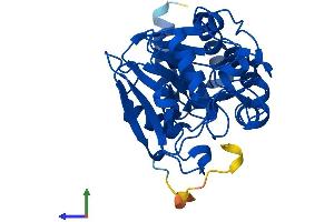 Protein Structure (PS) image for Protein Phosphatase 2, Catalytic Subunit, beta Isozyme (PPP2CB) (AA 1-309) protein (His tag) (ABIN7550932)