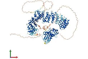 Protein Structure (PS) image for Adaptor-Related Protein Complex 3, beta 1 Subunit (AP3B1) (AA 1-1094) protein (His tag) (ABIN7552127)