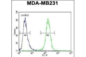 C4orf34 Antibody (C-term) (ABIN651629 and ABIN2840335) flow cytometric analysis of MDA-M cells (right histogram) compared to a negative control cell (left histogram). (SMIM14 Antikörper  (C-Term))